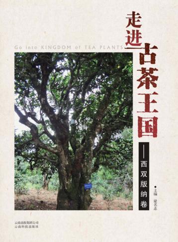 走进古茶王国  西双版纳卷 封面