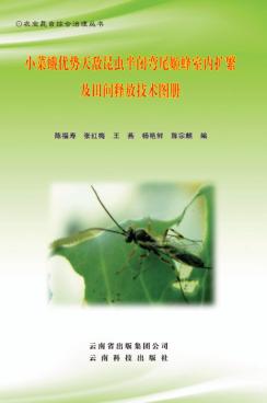 小菜蛾优势天敌昆虫半闭弯尾姫蜂室内扩繁及田间释放技术图册 封面