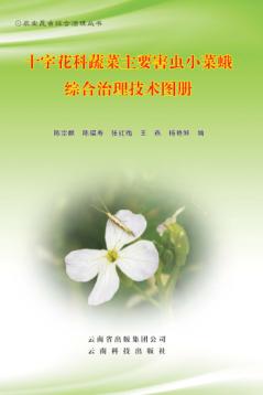 十字花科蔬菜主要害虫小菜蛾综合治理技术图册 封面