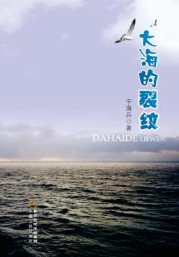 大海的裂纹 封面