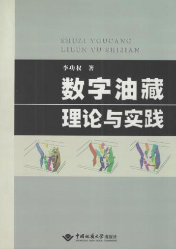数字油藏理论与实践 封面