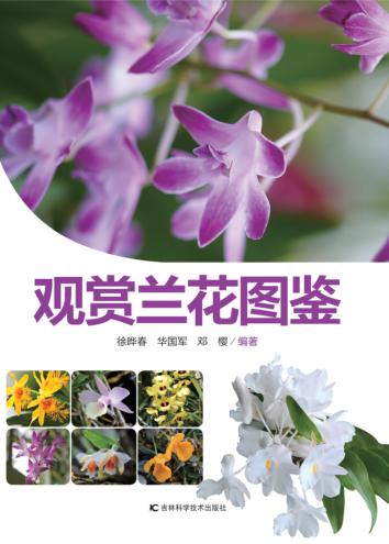 观赏兰花图鉴 封面