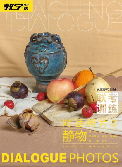 对话照片 3 静物 封面