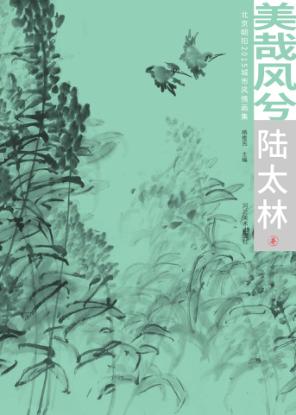 美哉风兮  北京朝阳2015城市风情画集  陆太林卷 封面