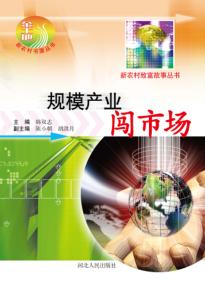 规模产业闯市场 封面