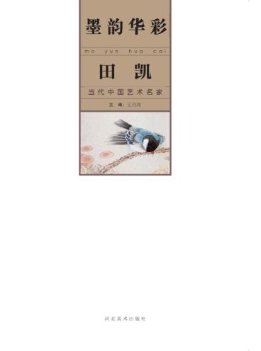 墨韵华彩 当代中国艺术名家 田凯 封面