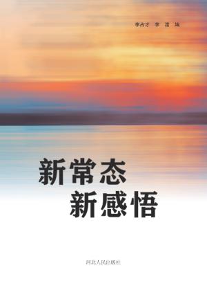 新常态 新感悟 封面