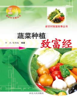 蔬菜种植致富经 封面