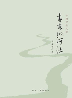 青春的河流 封面