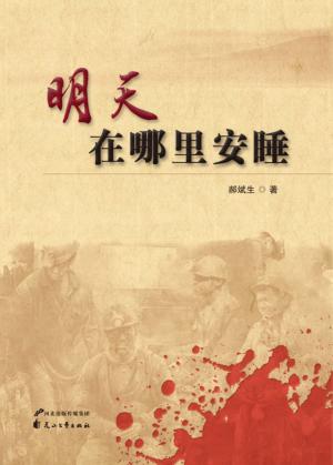 明天在哪里安睡 封面