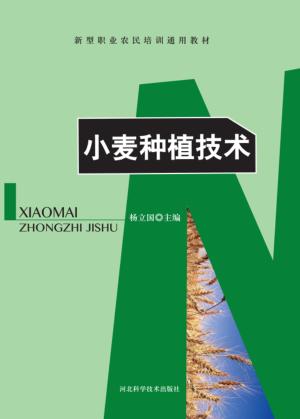 小麦种植技术 封面