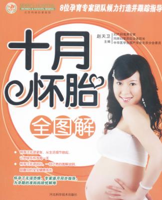 十月怀胎全图解 封面