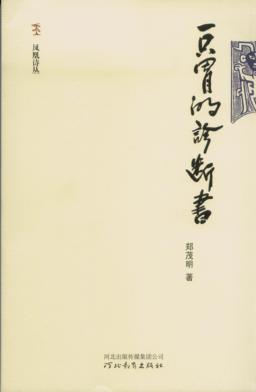 凤凰诗丛  一只胃的诊断书 封面