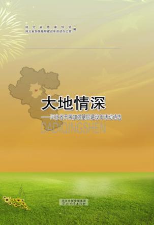 大地情深  河北省开展加强基层建设年活动诗选 封面