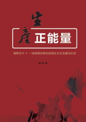 生产正能量  湖南永兴  一场插柳成萌的县域社会生态建设纪实 封面