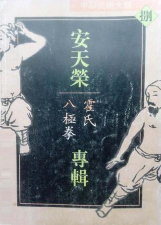 中华武术大观 安天荣专辑 霍氏八极拳 封面