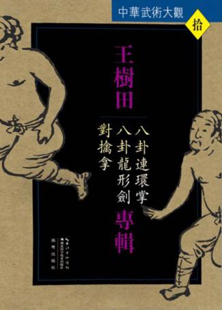 中华武术大观 王树田专辑 八卦连环掌、八卦龙形剑、对擒拿 封面