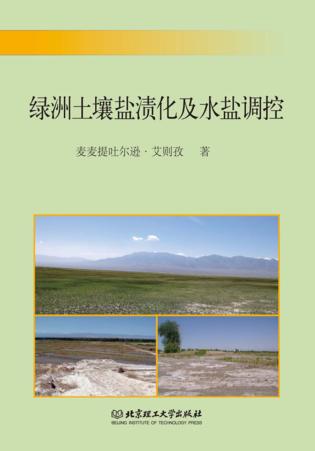 绿洲土壤盐渍化及水盐调控 封面