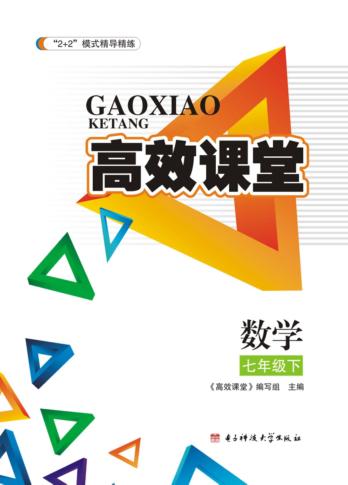 高效课堂  数学  七年级  下 封面