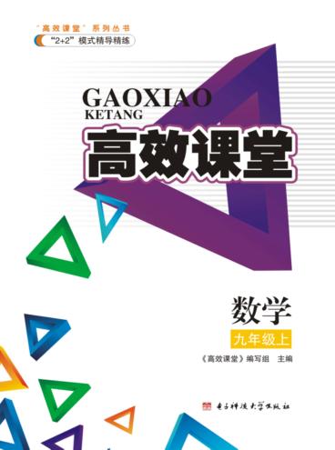 高效课堂  数学  九年级  上 封面