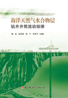 海洋天然气水合物层钻井井筒流动规律 封面