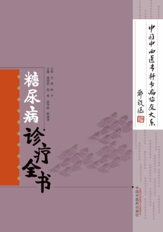 中国中西医专科专病临床大系  糖尿病诊疗全书 封面