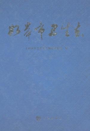 如皋市卫生志 封面