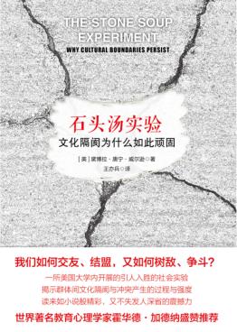 石头汤实验 文化隔阂为什么如此顽固 封面