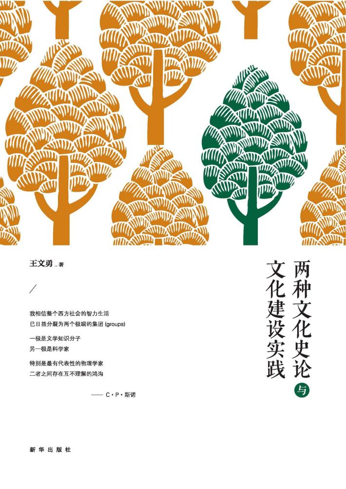 两种文化史论与文化建设实践 封面