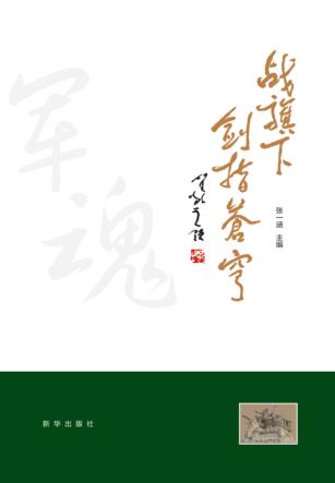 战旗下剑指苍穹 封面