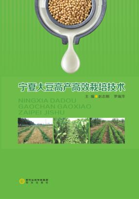 宁夏大豆高产高效栽培技术 封面