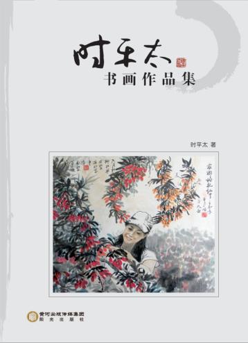 时平太书画作品集 封面