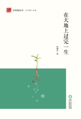 文学固原丛书  在大地上过完一生 封面