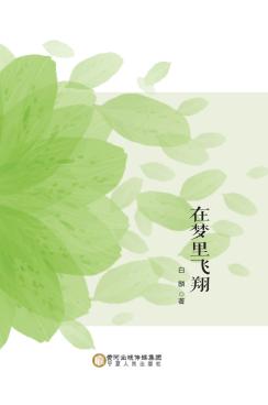 在梦里飞翔 封面