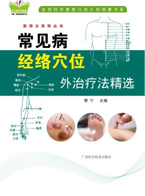 常见病经络穴位外治疗法精选 封面