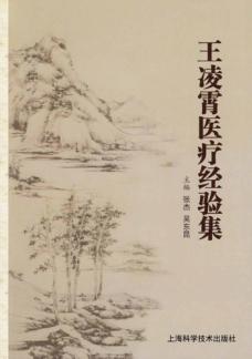 王凌霄医疗经验集 封面