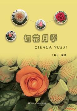 切花月季 封面