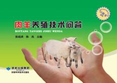 西部地区新农村建设丛书 兰州市农民实用技术口袋书系列 羊肉养殖技术问答 封面