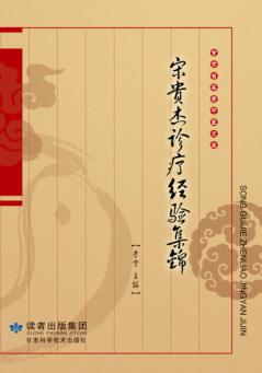 宋贵杰诊疗经验集锦 封面