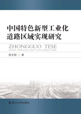 中国特色新型工业化道路区域实现研究 封面