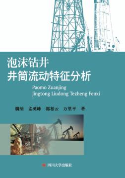 泡沫钻井井筒流动特征分析 封面