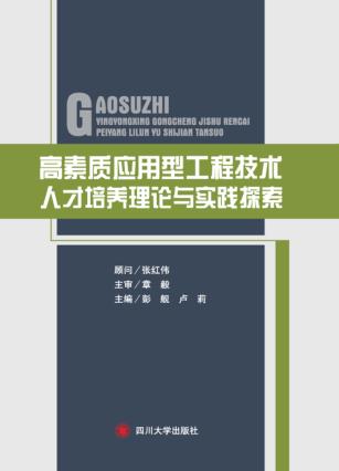 高素质应用型工程技术人才培养理论与实践探索 封面