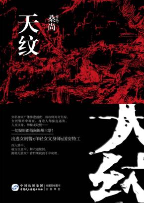 天纹 封面