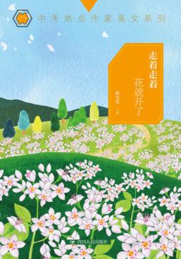 走着走着花就开了 封面