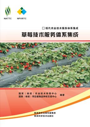 现代农业技术服务体系集成  草莓技术服务体系集成 封面