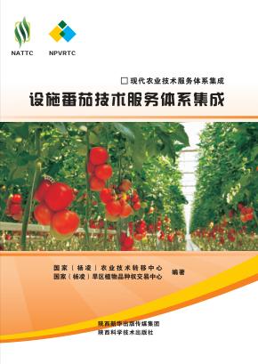 现代农业技术服务体系集成  设施番茄技术服务体系集成 封面