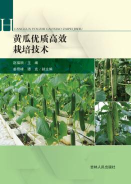 黄瓜优质高效栽培技术 封面