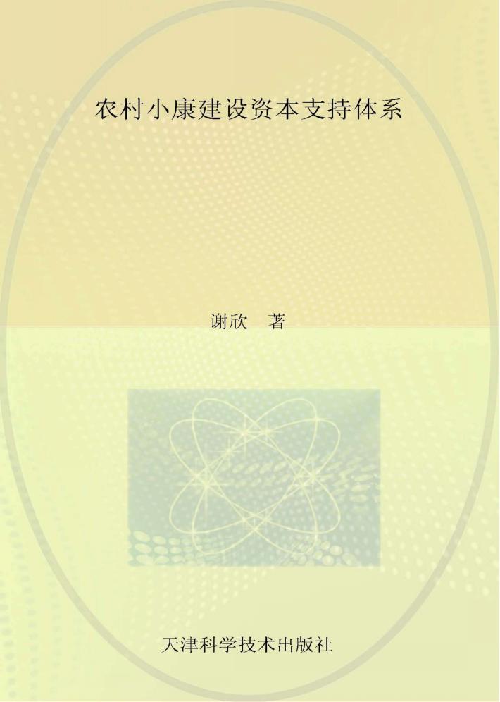 农村小康建设资本支持体系 封面