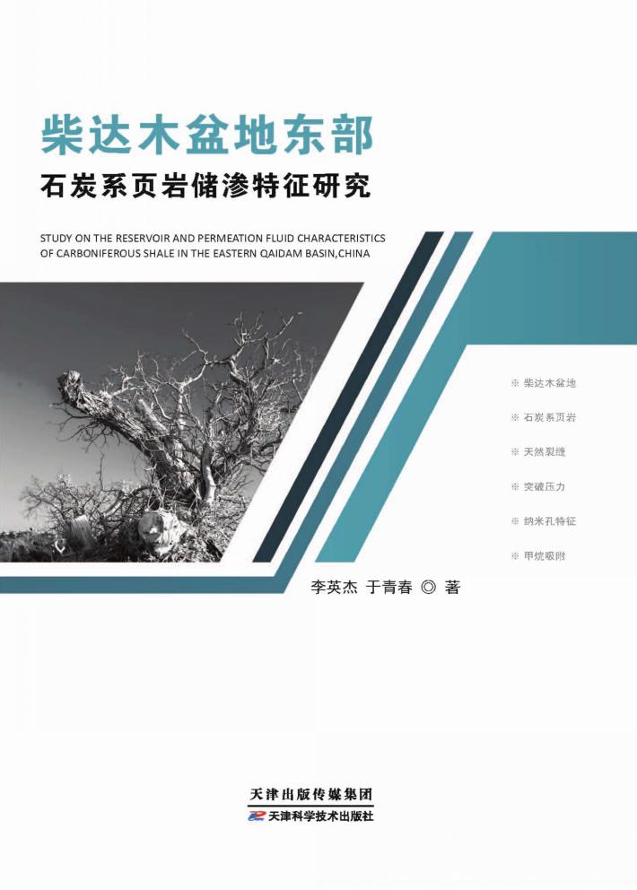 柴达木盆地东部石炭页岩储渗特征研究 封面