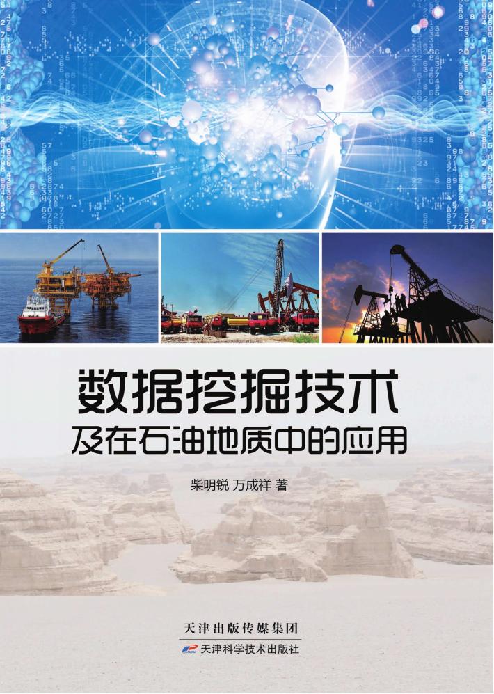 数据挖掘技术及在石油地质中的应用 封面
